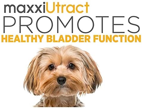 Maxxipaws uti calma pacote - maxxiutRacto suporte urinário e bexiga para cães e maxxicalm suplemento calmante canino