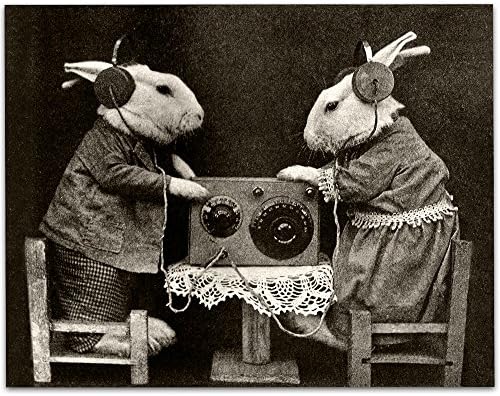 Coelhinhos estranhos bizarros ouvindo rádio com fones de ouvido - 11x14 impressão sem moldura - decoração de estúdio perfeita ou