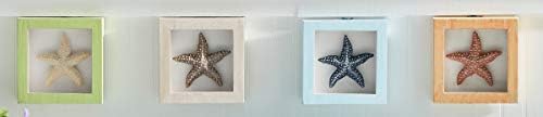 Beachcombers Starfish Shadow Box Frames de 4 Wood Picture Box Praia costeira para mesa de prateleira decoração de arte decoração azul azul