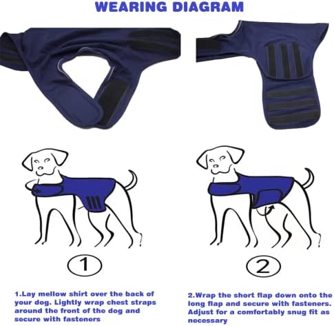 Joon-joon Classic Dog Ansity Jacket ， Bratuse Dog Ansity Circle