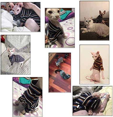 T-shirt de faixas de gatos sem pêlos malditos, gato respirável use camisas de colete para esfínx, Cornish Rex, Devon Rex, Peterbald…