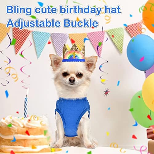 Camisa de aniversário de cachorro Conjunto de camisa e chapéu - Festa de aniversário de cachorro - Catdão de aniversário de gato - Camisetas de roupas de animal de estimação - camisas de cachorro - roupa de cachorro