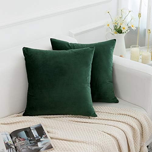 Rain Rooad Velvet Decorativo Capas de travesseiro Caso de almofada Caso de almofada para sofá Cadeira de cama de sofá, travesseiros