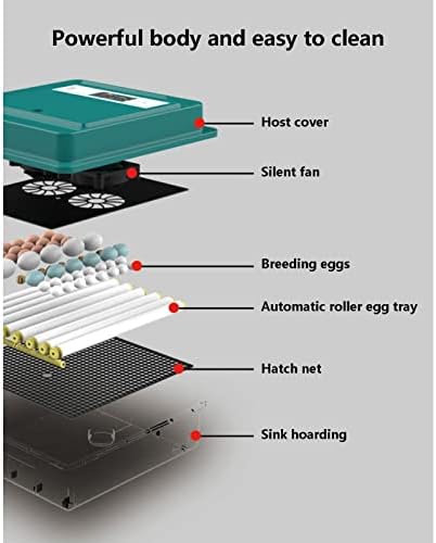 Qwertyukj 56 ovos incubador inteligente temperatura automática e umidade Controle pequeno hatcher de aves digitais com tela
