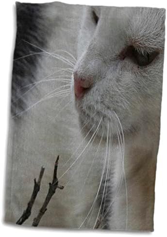 3DROSE A trilha do bigode - gato preto e branco, gato, gato, fofo, animal de estimação, animal de estimação. - Toalhas