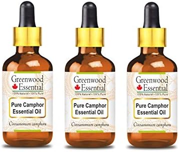 Greenwood Essential Pure Cânfora Essential Óleo Natural Terapêutico Vapor Destilado 1250ml
