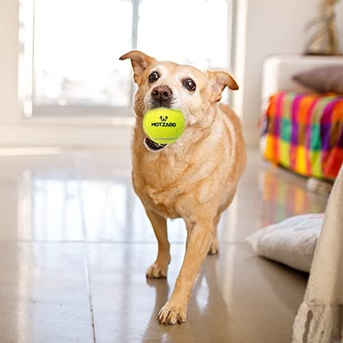 Bolas de tênis de cachorro Motzabo - 12 pacote de 12 2,5 de bolas de brinquedos interativos para cães para cães pequenos e médios - beliscando brinquedos para cães de borracha para treinar exercícios