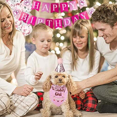 Guoyihua Dog Birthday Party Supplies, cachecol de aniversário Bandana, chapéu de festa de aniversário de garoto de cachorro