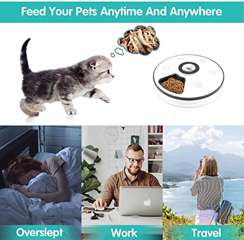Alimentador de gatos chintu automático - 5 refeições de controle de tigelas de gato, dispensador de alimentos para gatos automáticos,