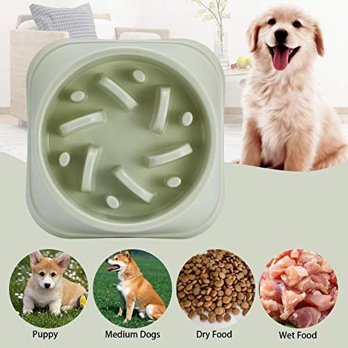 ALLIGADA ALLIMENTO DE DOGO NÃO REMPLIOT SLUPEDADOR, Bloat Stop Dog Food Water Bowl para cachorrinho, 2,5 xícaras, verde