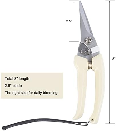 Nopaso 2pcs aparadores de cabra de cabra tesouras de corte com 6pcs 14 polegadas Horrier Farrier HOOF KIT