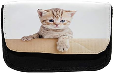 Caixa de lápis de gato lunarável, papelão de gatinho escoce