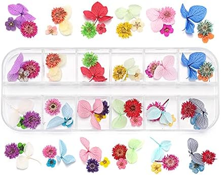 AGCFABS 1 Caixa de flores seco seco seco Mini Majus para UV Epóxi Resina Pingente Jóias de Pingente Fazendo Craft Nail Art decoração