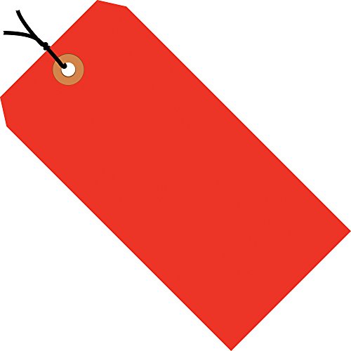 Tags de remessa Aviditi, 3 1/4 x 1 5/8, 13 pt, laranja fluorescente, com ilhas reforçadas, para identificar ou endereçar itens que não podem ser rotulados e para remessas de código colorido, caso de 1000