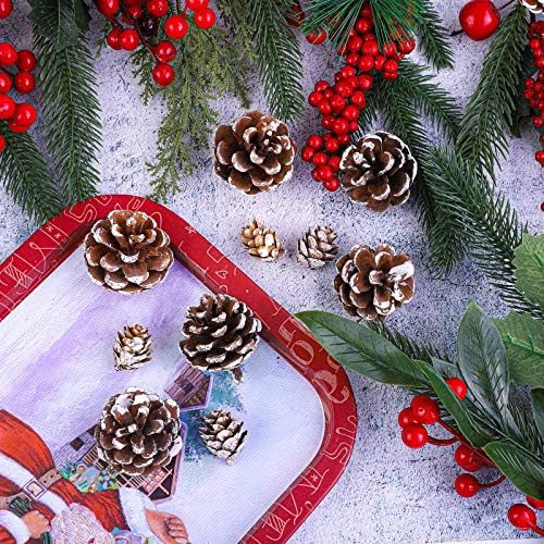 Cooraby Christmas Pines Snow Natural 20 peças 4-6 cm Pines Pines e 30 peças 2-3 cm Micro-Mini Pines para decoração de Ação de