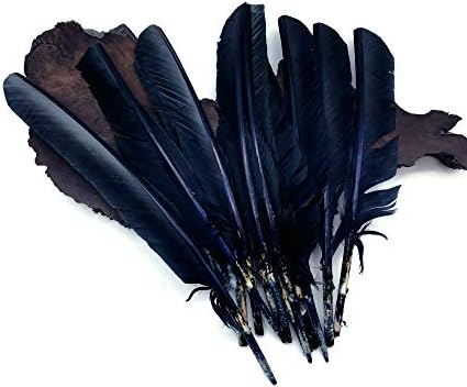 6 peças - Ponteiros de peru azul marinho Ponteiros primários Quill penas grandes Feathers Fletching Diy Halloween