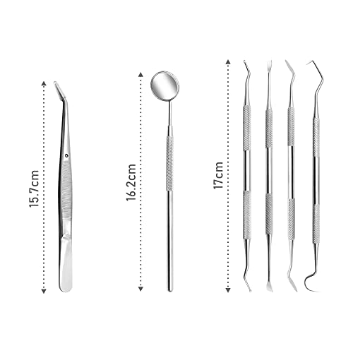 Removedor de placa para dentes Ferramentas dentárias portáteis Picks odontológicos de aço inoxidável para limpeza de dentes