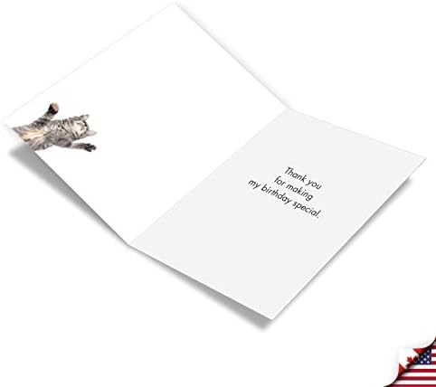 Nobleworks Birthday Thank You Paper Card com 5 x 7 polegadas Envelope Cat Big. Obrigado