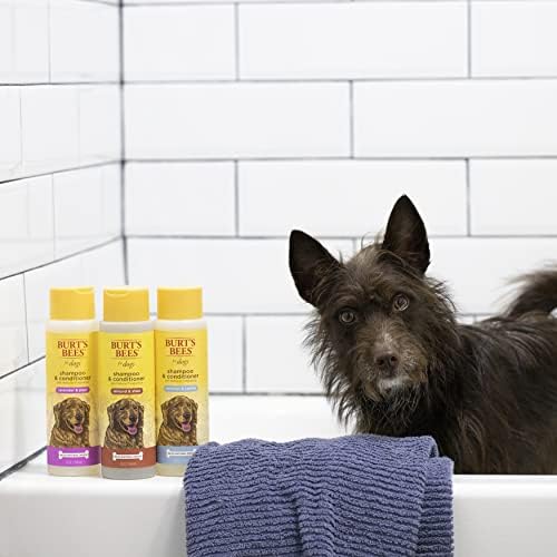 Burt's Bees for Dogs Almond & Shea Dog Shampoo e Condicionador | Shampoo e condicionador de cães de Burt's Bees | Shampoo e condicionador de cães naturais para animais de estimação, feitos nos EUA 12 oz