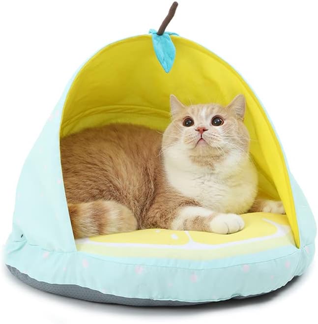 Pensando na cama de gato de gato interno, cama de gato, cama de estimação, cama de gatinho, cesta de gatos, cama de filhote,