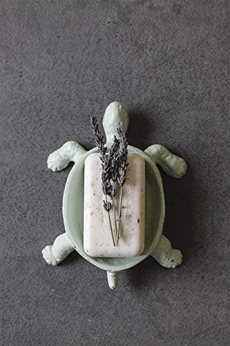 Sabão de tartaruga de ferro fundido cooperativo criativo
