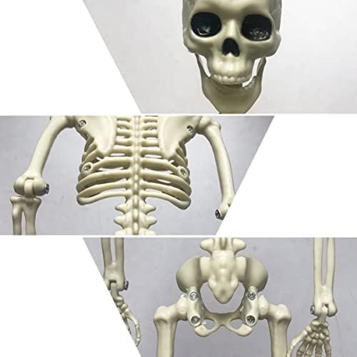 Excelt Outdoor Playset Halloween esqueleto de esqueleto completo de halloween esqueleto de esqueleto falsa decoração de halloween decoração de esqueleto de vida de tamanho de vida de tamanho plástico maniquin de plástico maniquin