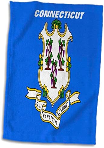 Bandeiras do estado de Florene 3drose - Bandeira do estado de Connecticut - toalhas