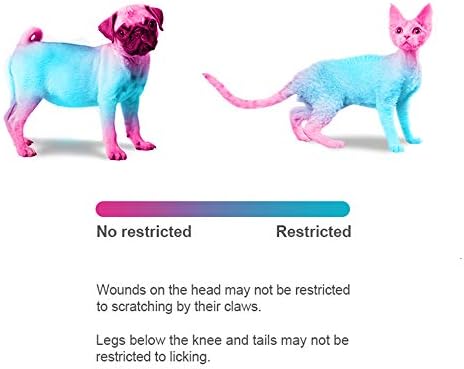 CCARE RECUPLA DE RECUPLAÇÃO AJUSTÁVEL DE PET CCYPET - Recuperação Proteção Cone Pet Hound Hound Protective Soft Edge para