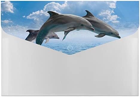 Dolphins e baleias A4 Pastas A4 6 bolsos Organizador de arquivos de acordeão Pasta de documentos à prova d'água