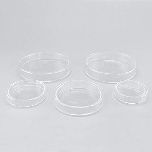 Jrlgd Borossilicate Glass Petri Patri Placas Placas de tecido Placa de cultura de 100 mm de diâmetro, 10 por pacote