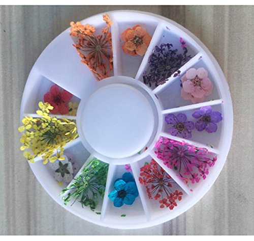 1 Pacote de flores coloridas de flores secas naturais da unha, designs misturados de roda de strô de rodas de flor reais Acessórios
