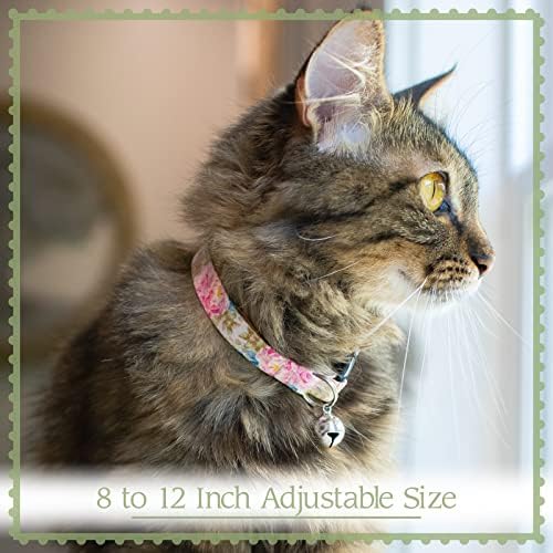 Country Brook Petz - Rainbow Hearts Cat Collar - Coleção de afeto com 8 designs que você adora