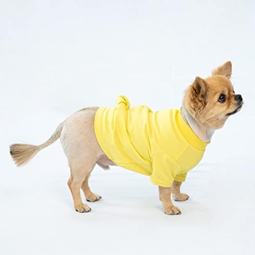 CCOCCADOG Cor brilhante e vívida da camiseta básica, mas exclusiva de camiseta de cachorro, roupas de moletom de vestuário