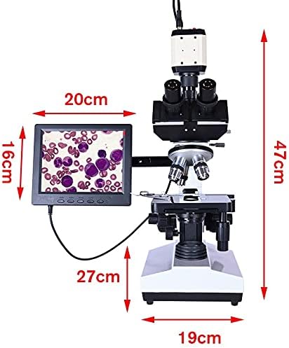YTYZC LAB PROFISSIONAL Microscópio trinocular biológico Zoom 2500x + Câmera CCD digital eletrônica USB + LCD de 8 polegadas