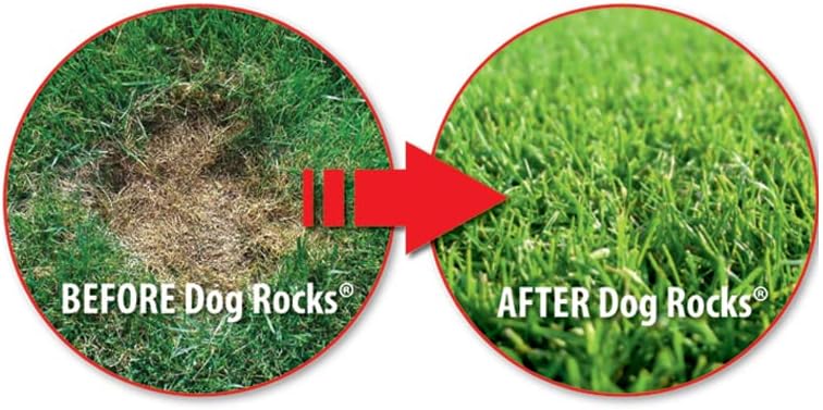 Rochas para cães - impedir pontos de queimadura de grama pela urina de estimação, salve seu gramado de marcas amarelas, 3 sacos de 200g cada