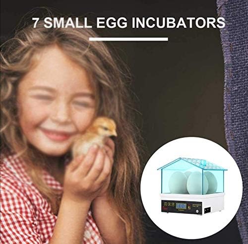 ALREMO 103234536 Mini Incubadora de ovos, controle de temperatura da máquina de hachura semi -automática digital para pombos de codornas de frango, 110V/220V