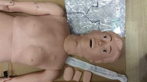 Demonstração foccar Modelo de ensino de atendimento ao paciente Modelo de ensino simulador humano para treinamento médico de enfermagem