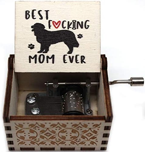 caixa de música ukebobo de madeira- você é minha caixa de música do sol, presentes para mamãe para cães, retenção dourada- 1 conjunto
