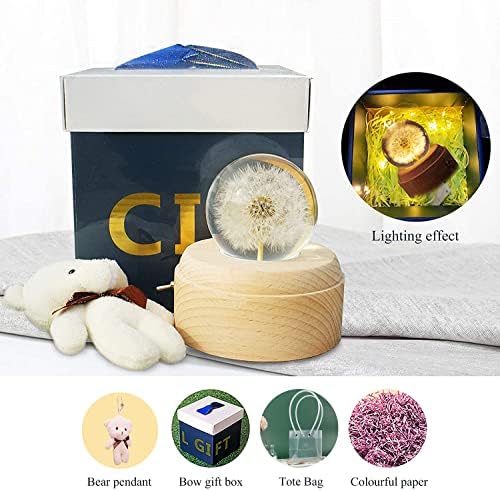 Caixa de música de bola de cristal de yytsgg, bola decorativa de cristal de dente de leão, projeção LED Night Light