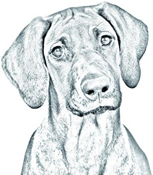 Rodesiano Ridgeback, lápide oval de azulejo de cerâmica com uma imagem de um cachorro