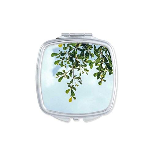 Folhas verdes azul céu art déco espelho de moda portátil maquiagem de bolso compacto vidro de dupla face