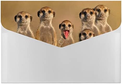 Pastas de arquivo colorido de plástico meerkats com 6 acorde de acorde de compartimento Organizador de documentos de plástico