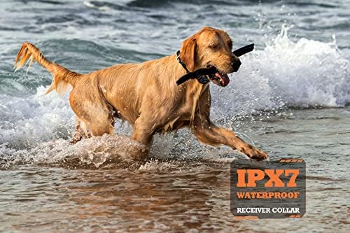 Colar de choque Patpet para cão grande médio - 3/4 milhas de choque de cachorro e colarinho, colar de treinamento para cães com 2 pacotes remotos