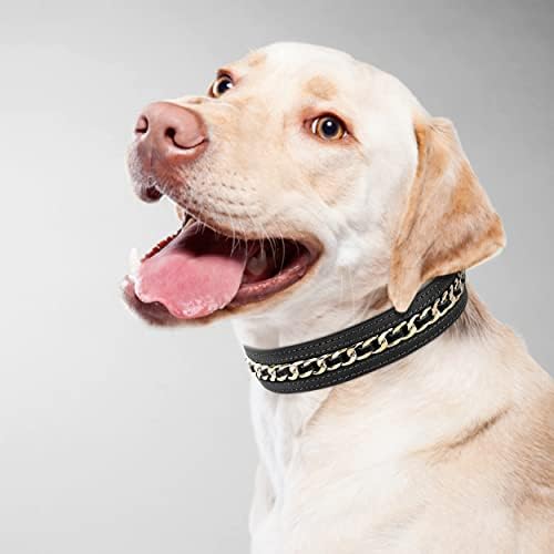 Didog Genuine Leather Collars Dog Stroned Collar Leather Eleglish e Durável Correla de Cadeia de Metal para cães grandes, preto, L