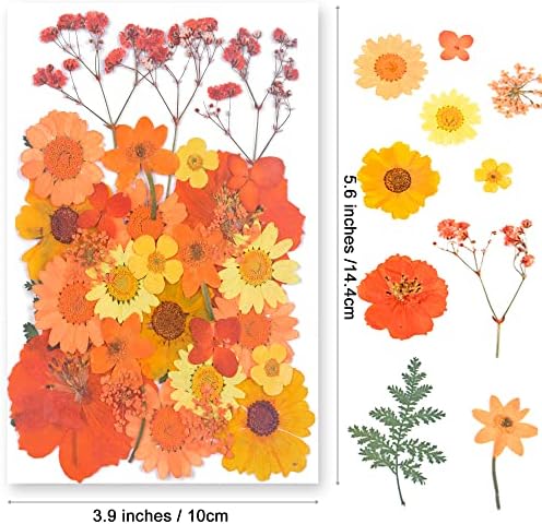 110pcs Resina Flores pressionadas seca, Youthbro Real Natural Dry Pressing Flowers com pinças para jóias DIY Craft Floral Home