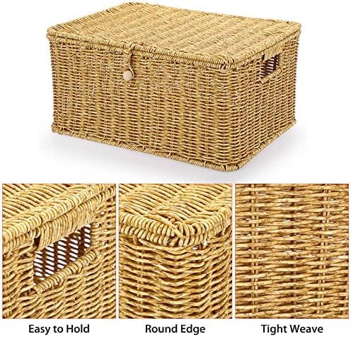 Binkets de lã de resina Hipiw com tampa e alça - conjunto de 3 cestas de prateleira retangular Caixas de cesto de