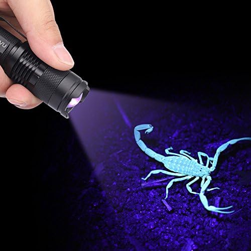365nm / 395nm Mini portátil LED UV Blacklight, lanterna de verificação à prova d'água ao ar livre, perfeita para mergulho ao ar