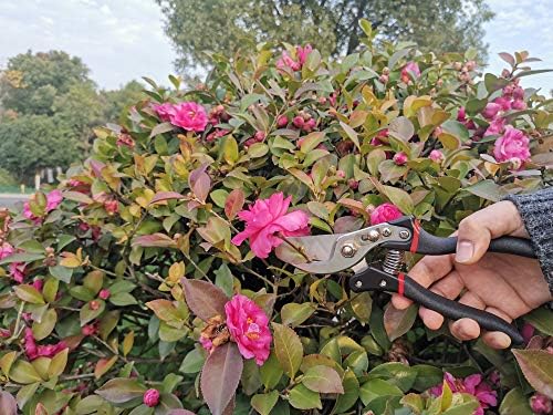 Que as tesouras de poda de estrela, tesouras profissionais de poda, perfeitas para cerca e jardim, lâmina de aço sk5, tamanho