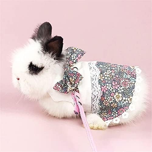 Wzhsdkl Animal Walking Pet Leash Bunny Colet e coleira do conjunto de gangues de coelho de coelho