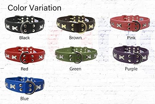 Angel Rotterdam Bones Collar 41274 Verde 14